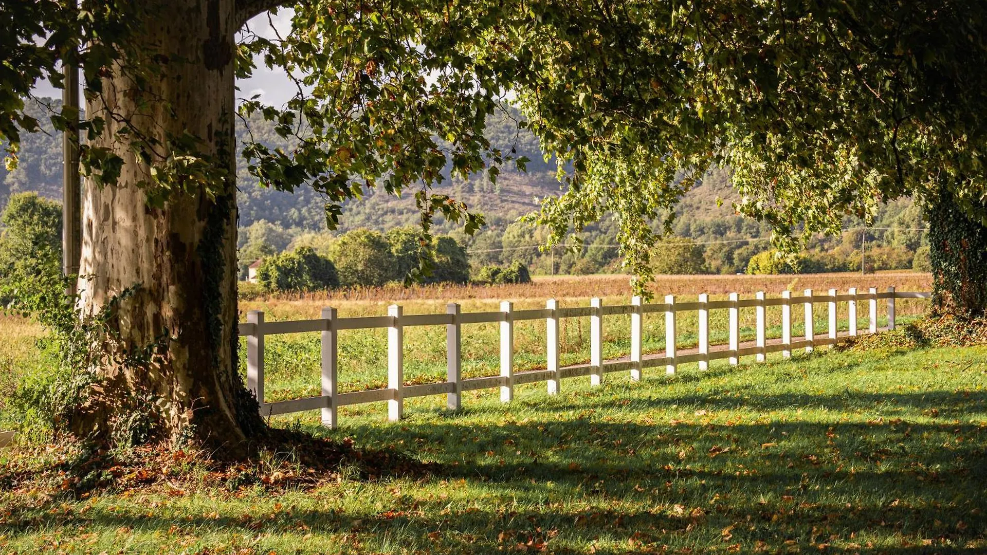 Chateau La Gineste - Castle And Vineyard Duravel